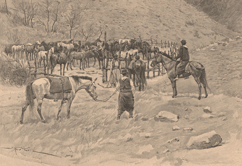 Corral in the province of Patagones. Argentina 1885 old antique print picture